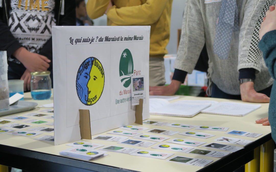 Présentation des travaux de l’atelier scientifique à Niort